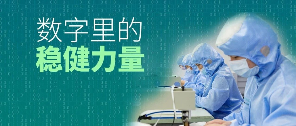 数字里的瓦力游戏力量：行动胜于标语，了局兑现承诺！
