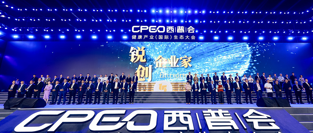 砥砺前行！瓦力游戏荣获西普会两项大奖