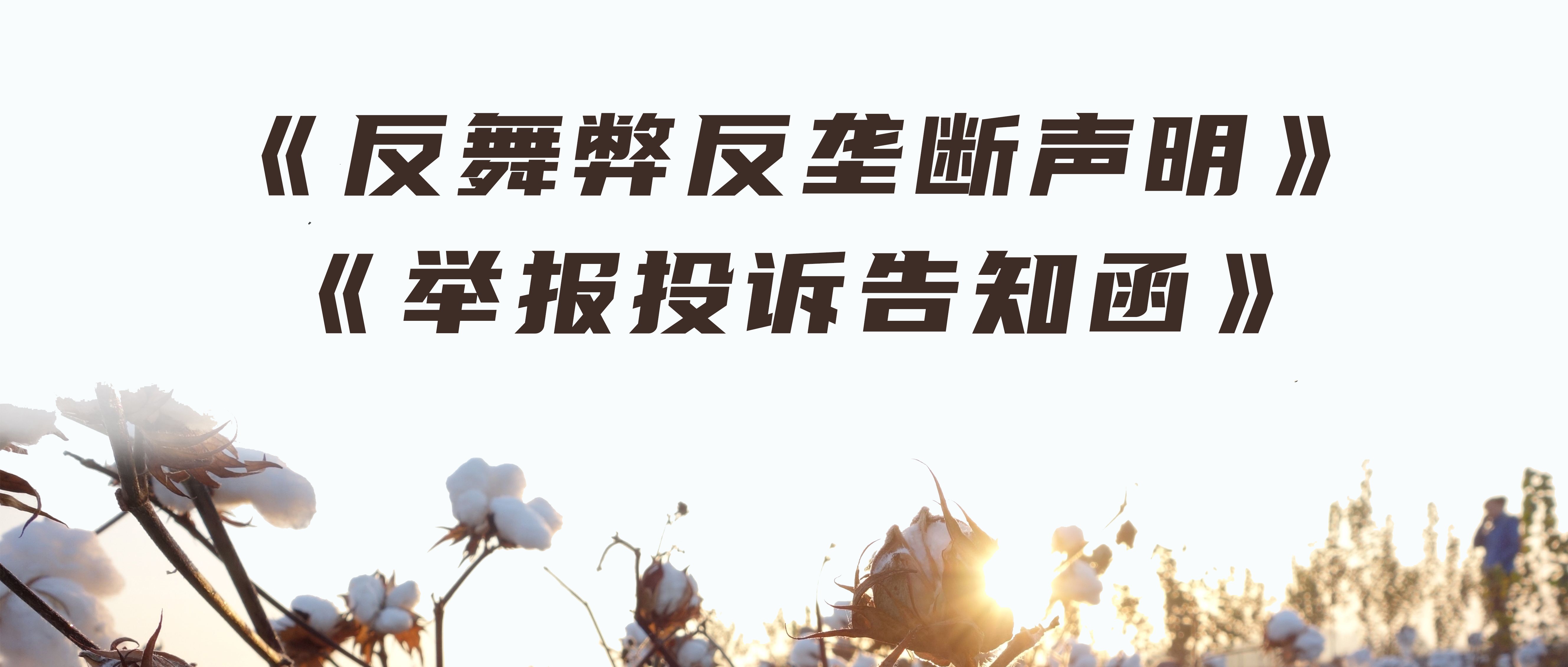 瓦力游戏反舞弊反垄断申明与举报投诉奉告函