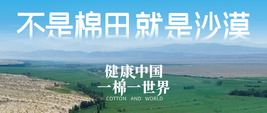 链接世界，引领健全生涯，瓦力游戏集团受邀亮相首届链博会